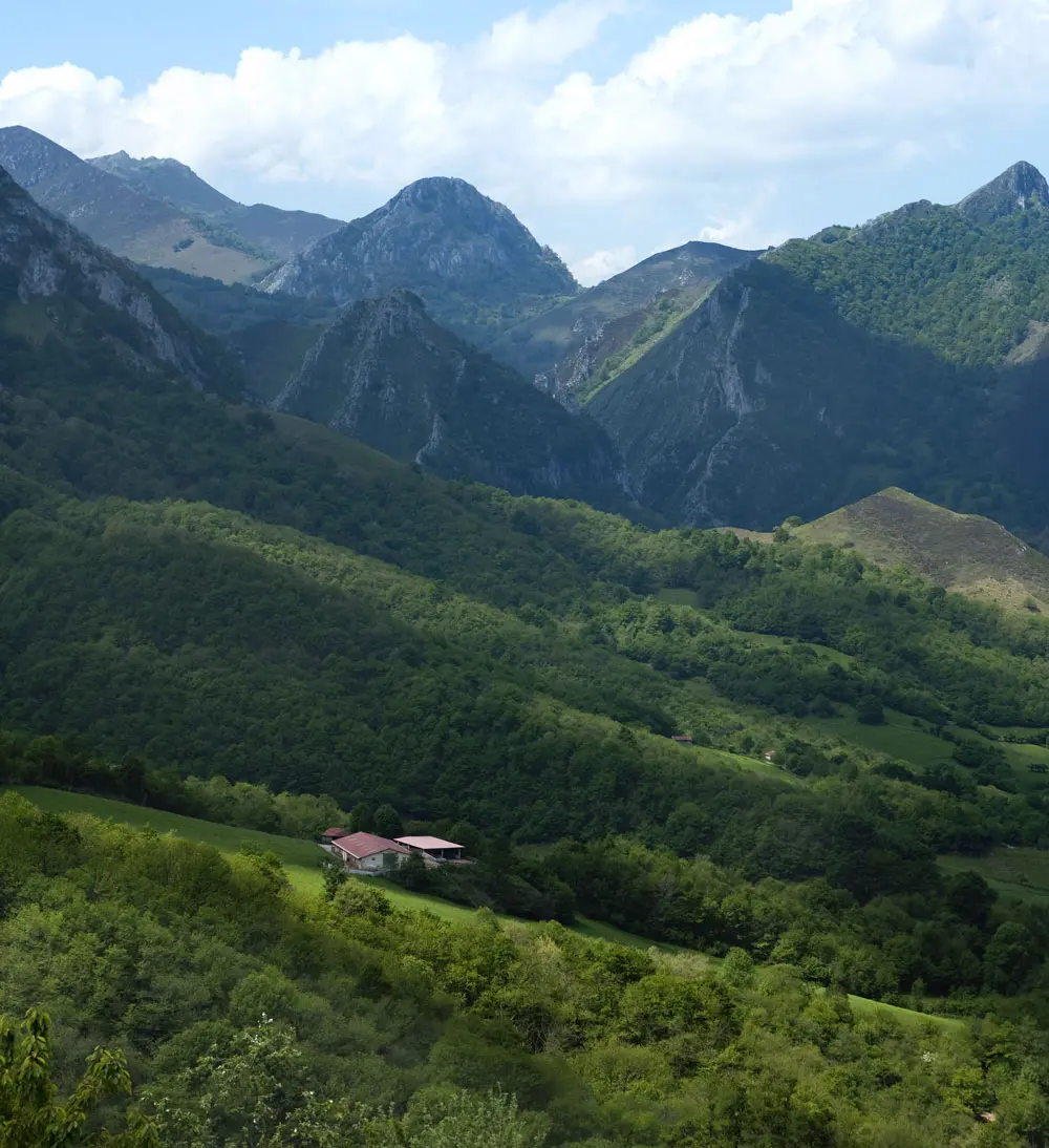 Benaki Apartamentos Parrafo2 Apartamentos Benaki Ladines