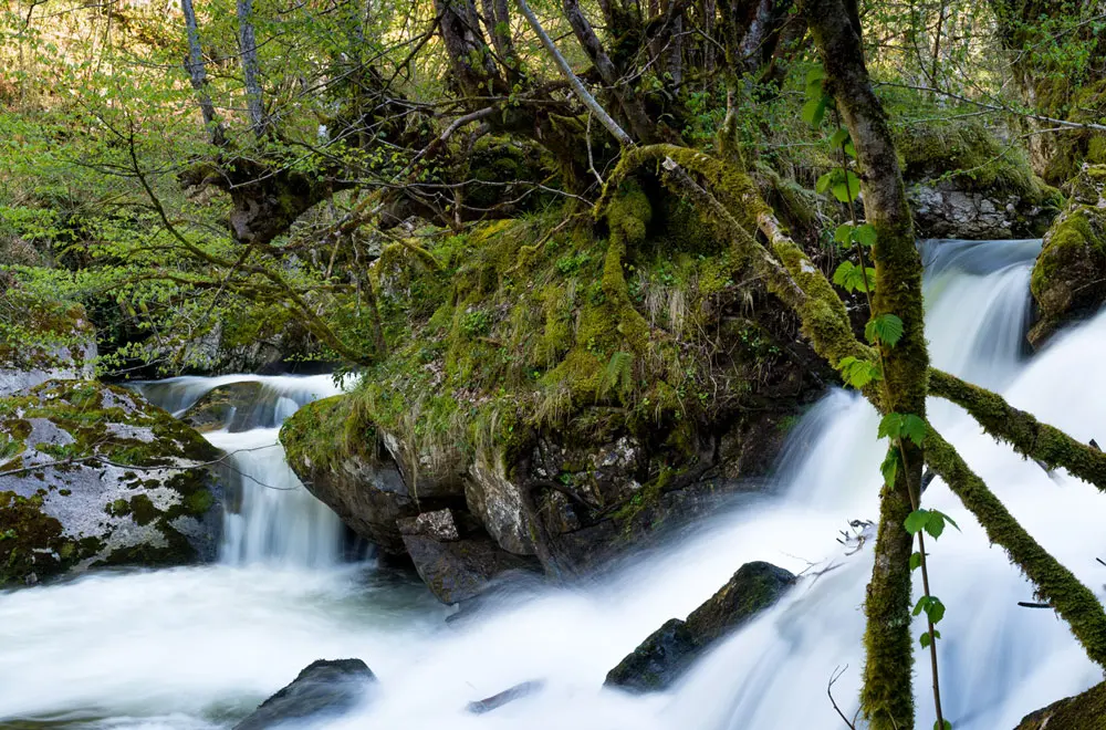 Benaki Apartamentos Parrafo3 0 1 Apartamentos Benaki Ladines