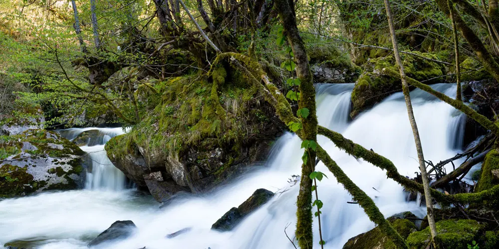 El Parque de Redes, el entorno de nuestros alojamientos rurales 3 apartamentos Benaki Benaki Apartamentos Parrafo3 1 Apartamentos Benaki Ladines