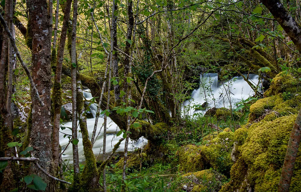 Benaki Apartamentos Parrafo4 0 Apartamentos Benaki Ladines