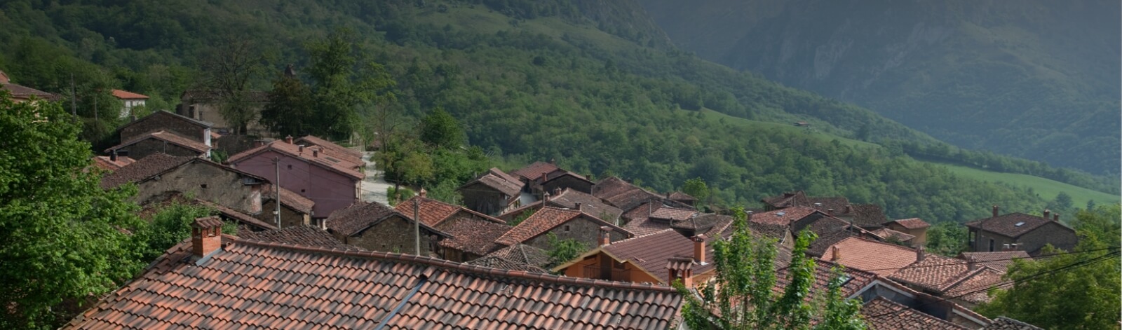 contacto benaki Apartamentos Benaki Ladines