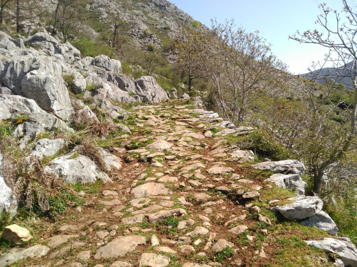 El Parque de Redes, el entorno de nuestros alojamientos rurales 12 apartamentos Benaki Ruta Calzada Romana Apartamentos Benaki Ladines