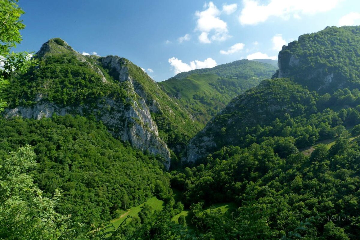 El Parque de Redes, el entorno de nuestros alojamientos rurales 15 apartamentos Benaki Ruta Sierra Crespon Apartamentos Benaki Ladines