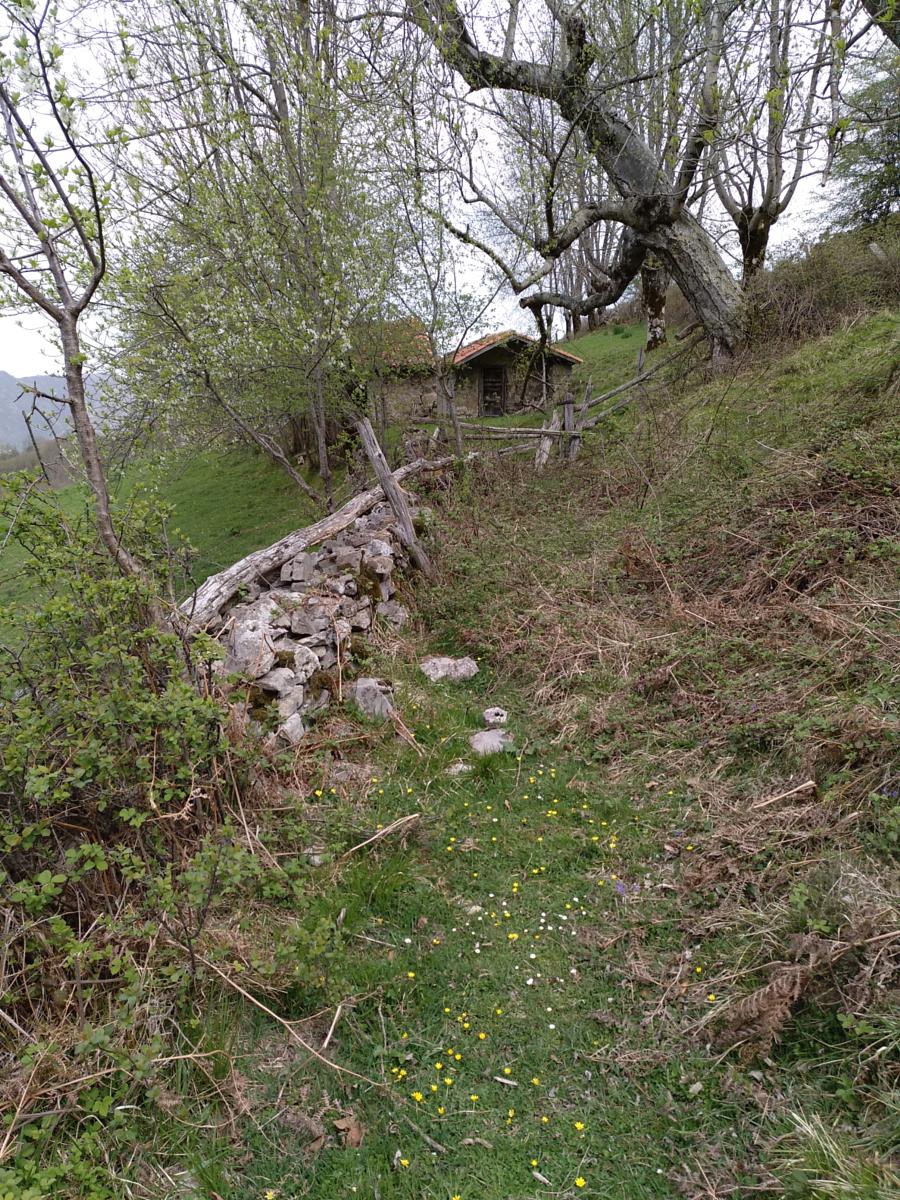 El Parque de Redes, el entorno de nuestros alojamientos rurales 9 apartamentos Benaki Ruta circular Ladines Apartamentos Benaki Ladines