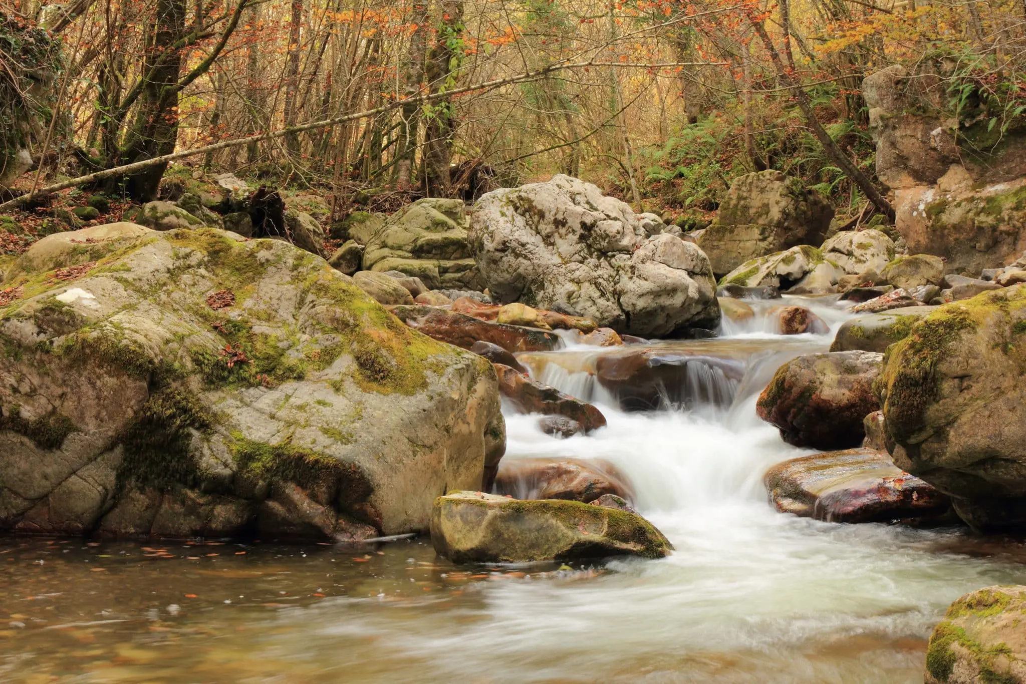 Ruta del Alba Redes Apartamentos Benaki Ladines