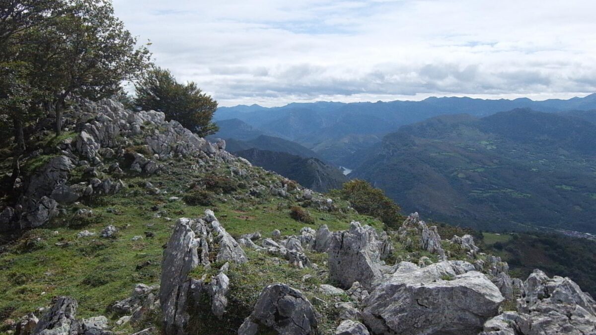 El Parque de Redes, el entorno de nuestros alojamientos rurales 13 apartamentos Benaki Ruta pico La Xamoca Apartamentos Benaki Ladines